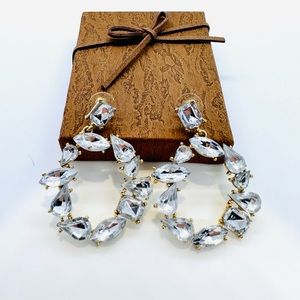 Sparkly and chic earrings